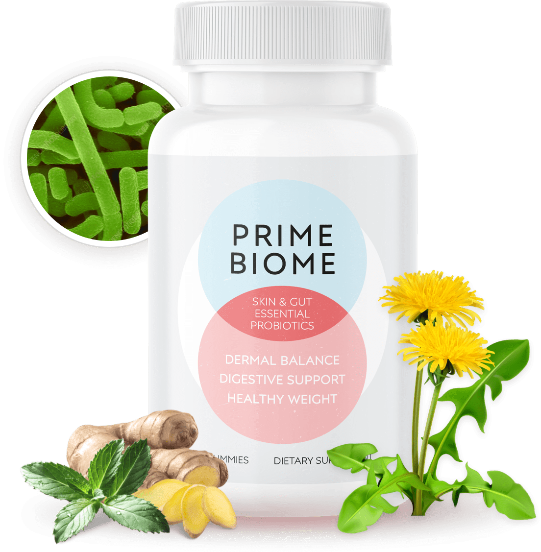 PrimeBiome Probiotic Gummy Bottles